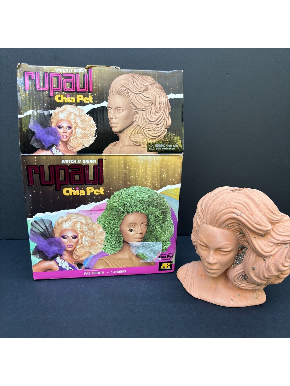 RuPaul Drag Queen Chia Pet Bust, Limited, Decorative Planter Gift